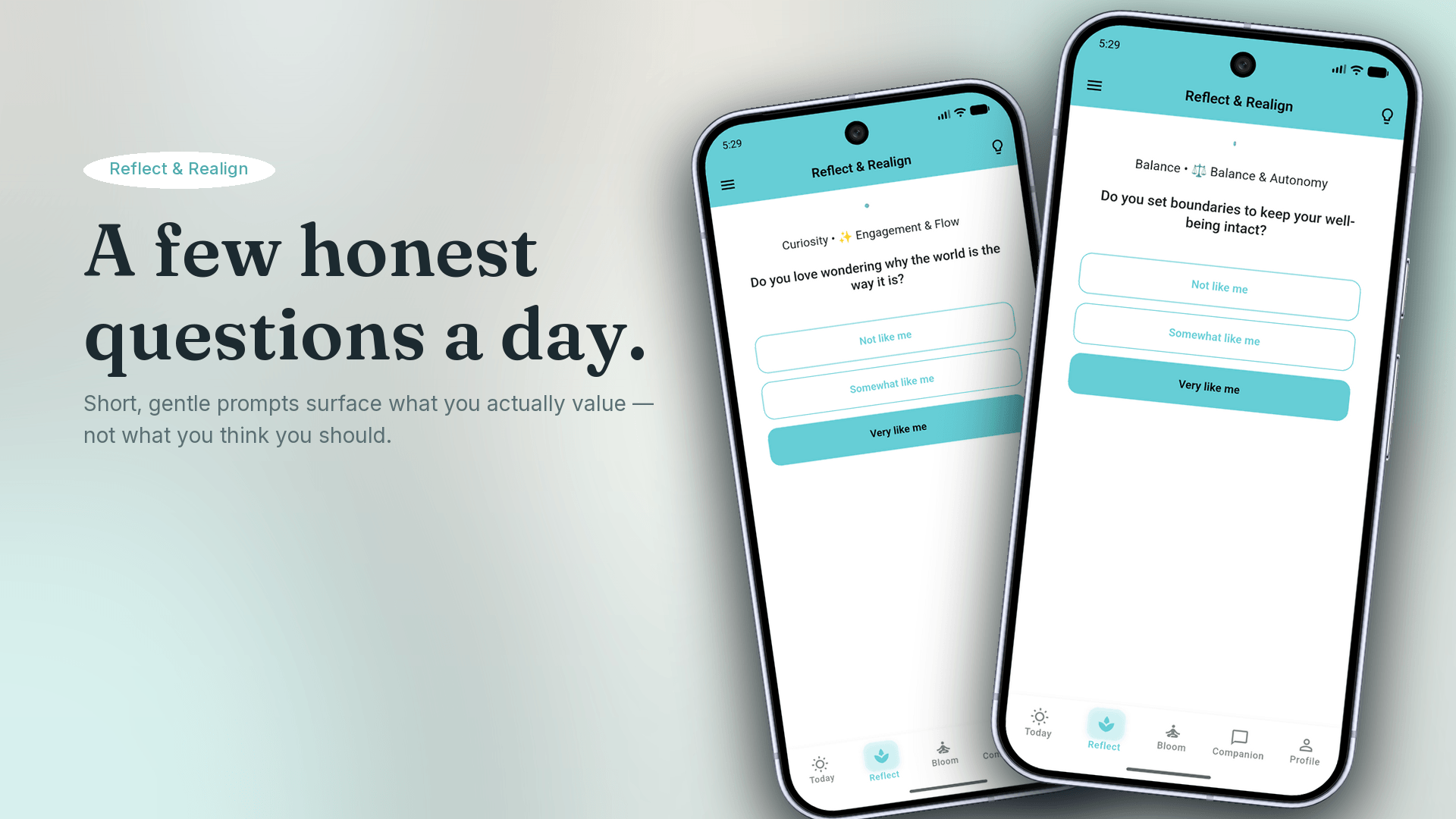 Bloomora Reflect & Realign screen — honest daily questions surfacing your real values
